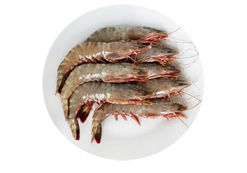 Tiger Prawns